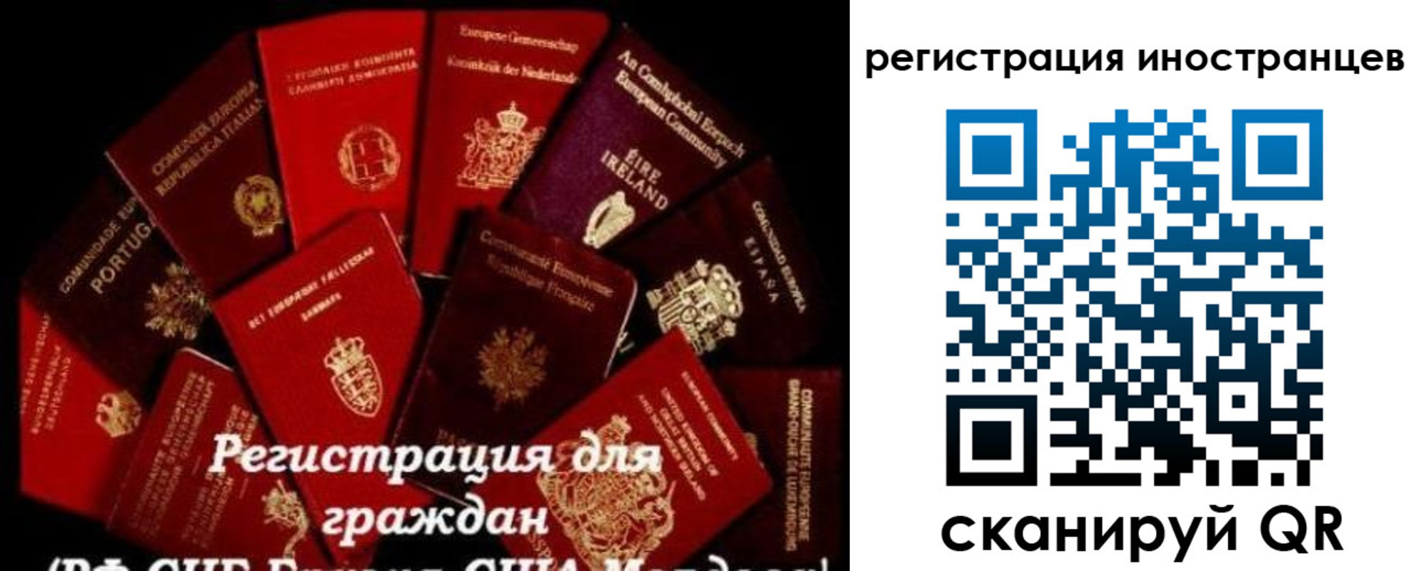 прописка иностранных граждан в Донском